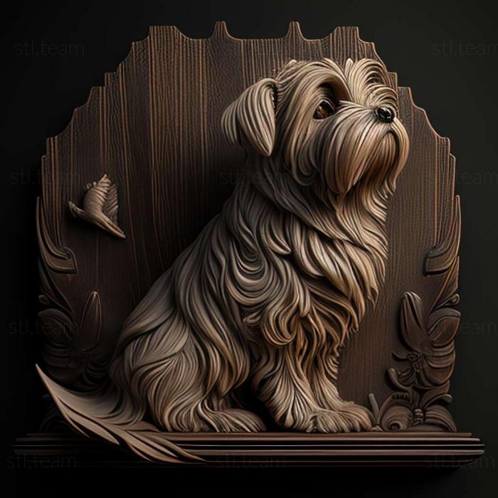 Nivernais Griffon dog